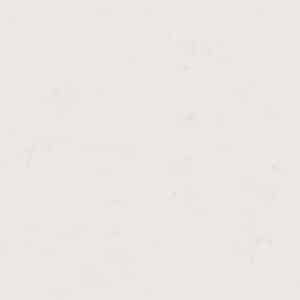 TECHNISTONE NOBLE SUPREME detal