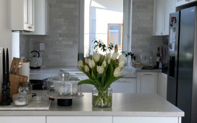 TECHNISTONE Noble Quartzite